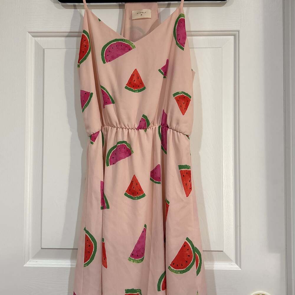 Everly Watermelon Pink Dress Lined Spring Y2K style Preppy Boho
